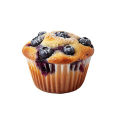 Fresh Blueberry Muffin with Sugared Top