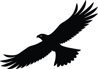 Fototapeta premium majestic hawk flying graphic for wildlife themes
