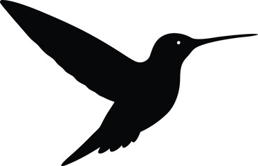 vibrant hummingbird graphic for nature inspired artwork