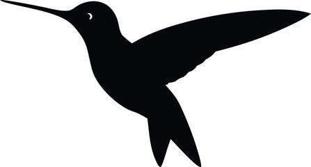 hummingbird hovering vector illustration for floral design © Your Shop