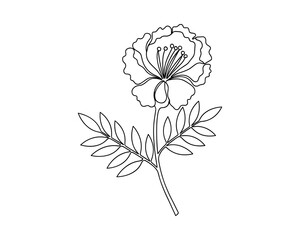 Elegant Flower Branch Line Art, Detailed Petals, Blossom Design, Natural Floral Motif, Botanical Illustration, Vector Illustration