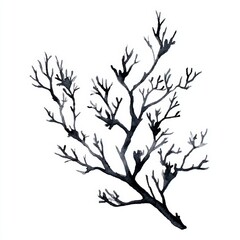 A close-up view of a tree branch with many dark, thin, twisting branches. It's a graphic resource