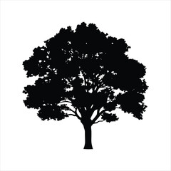 Black silhouette of a large deciduous tree isolated on white background