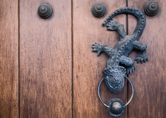Not Just for Knocking: When Lizards Guard Stories, Not Doors