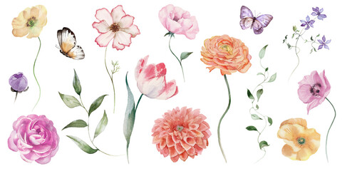 Watercolor floral elements set - bright peach color, white, pink, blue flowers, rose, peony, poppy, tulips, sweet pea, chamomile, ranunculus, buttercups. Green branches. Wedding invitation, clipart.