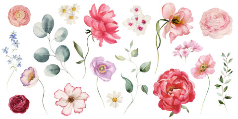 Watercolor floral elements set - bright peach color, white, pink, blue flowers, rose, peony, poppy, tulips, sweet pea, chamomile, ranunculus, buttercups. Green branches. Wedding invitation, clipart.