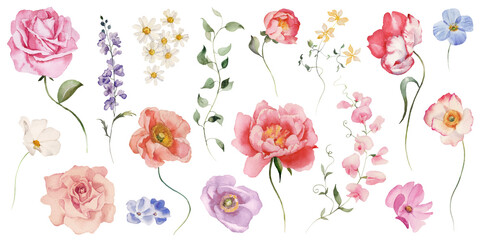 Watercolor floral elements set - bright peach color, white, pink, blue flowers, rose, peony, poppy, tulips, sweet pea, chamomile, ranunculus, buttercups. Green branches. Wedding invitation, clipart.