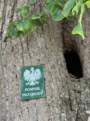 Pomnik przyrody tabliczka