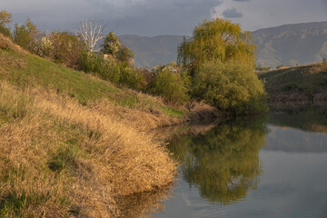 Scenic river bank with trees and reflections