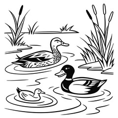 duck in water
