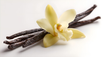 Vanilla pods and flower resting on white background