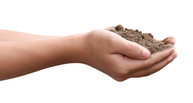 Pile of soil in child hands isolated on transparent background, PNG File