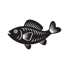 fish isolated on white