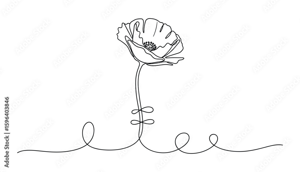 Poster single line drawing of a poppy flower with abstract stem and base shape vector illustration