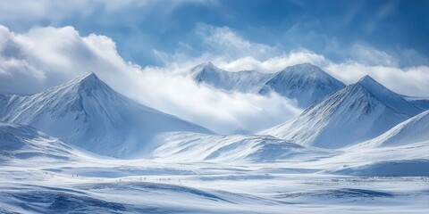 Alaska range under wintry sky with wind-sculpted snow texture