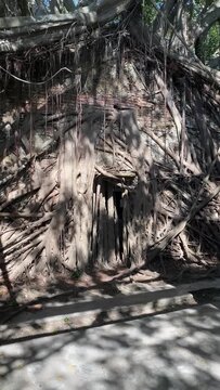 Anping Tree House &mdash; a well-known tourist attraction in Tainan, Taiwan. It was originally the warehouse of the British trading company Tait Company.