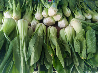 Pakcoy or mustard greens or bok choy, vegetables for making capcay, stir-fries and so on.
