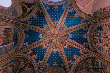 Starry Religious Ceiling
