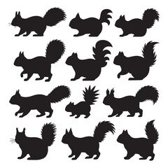 Obraz premium A set of 12 black silhouette illustrations of squirrels arranged in two rows against a white background. 