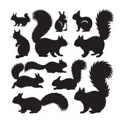 A set of 12 black silhouette illustrations of squirrels arranged in two rows against a white background. 