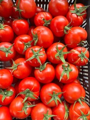 Domowe piękne pomidory, na drewnianej desce, 100% Polska wieś 