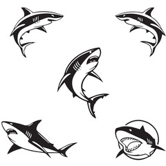 set of shark