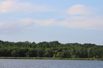 lake and forest