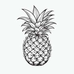 Obraz premium pineapple vector illustration
