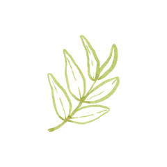 Hand drawn tropical plant branch. Brush line art, hand drawn tropical branch with leaves, exotic plant, use as print, poster, label, stickers, element design, textile, package.