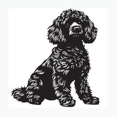 english cocker spaniel dog