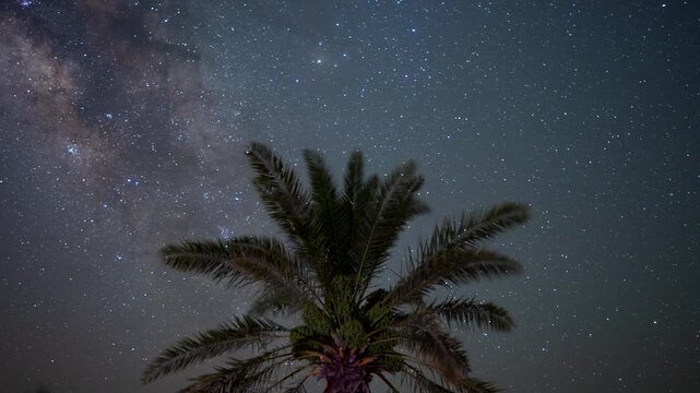Stunning 4k timelapse of the night sky Milky Way galaxy motion passing the date palm tree leaves in the oasis. Clear night sky, star scape in a remote wilderness location. 