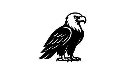 Eagle vector illustration