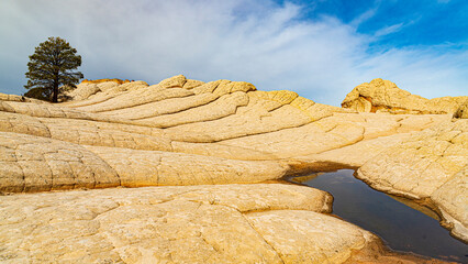 White Pocket im Grand Staircase Escalante