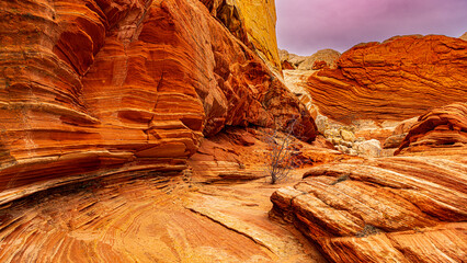 White Pocket im Grand Staircase Escalante