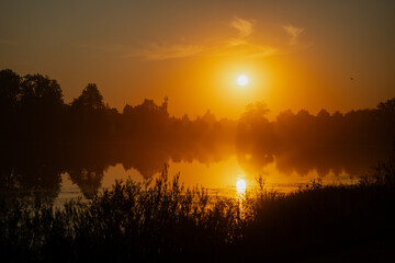 Golden sunrise over calm lake with trees reflected in water and warm morning mist creating peaceful nature scene at dawn