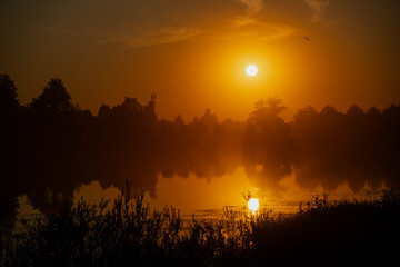 Golden sunrise with mist over lake reflecting trees and warm morning light in tranquil peaceful...