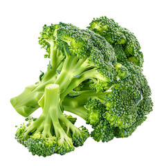 Fresh Broccoli Florets Isolated on White Background