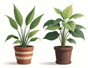 Obraz premium Lush Indoor Plants in Striped and Solid Pots