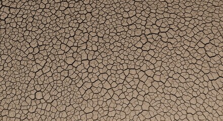 Dry, cracked desert ground texture with an arid, natural earth pattern, showing detail of the rough, brown clay surface
