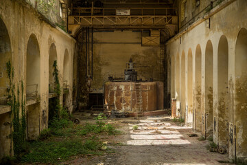 Abandoned industrial hall with rusted machinery and overgrown vegetation showcasing urban decay and...