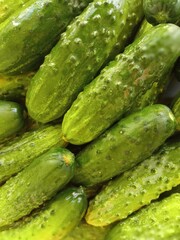 Cucumbers picked in the garden are being prepared for canning
