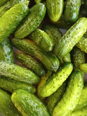 Cucumbers picked in the garden are being prepared for canning