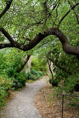 Ruelle du village médiéval de Mirmande dans la Drôme