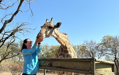 Feeding a Giraffe on Safari