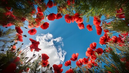 looking up at red flowers framing bright blue sky with clouds