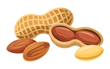 Obraz premium Peanuts and almonds healthy snack assortment