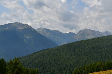 Schöne Landschaft im Ultental in Südtirol 