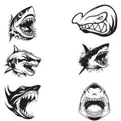 vector set of black and white shark heads
