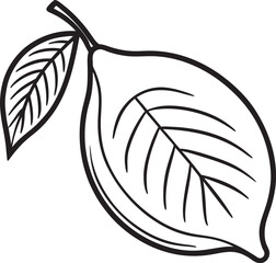 vector illustration of an olive branch