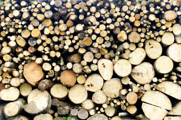 Stacked Logs and Timber Pieces in a Rustic Natural Background
